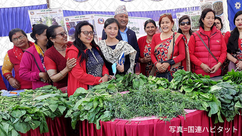 『ネパールにおけるRoof Top Farming事業』にてT&Sがバクチャーの技術協力として参加